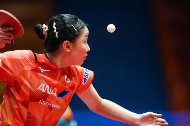 无疑是为了 无疑是为了