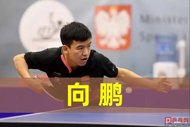 不同的排名 不同的排名